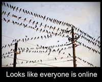 Looks like everyone is online